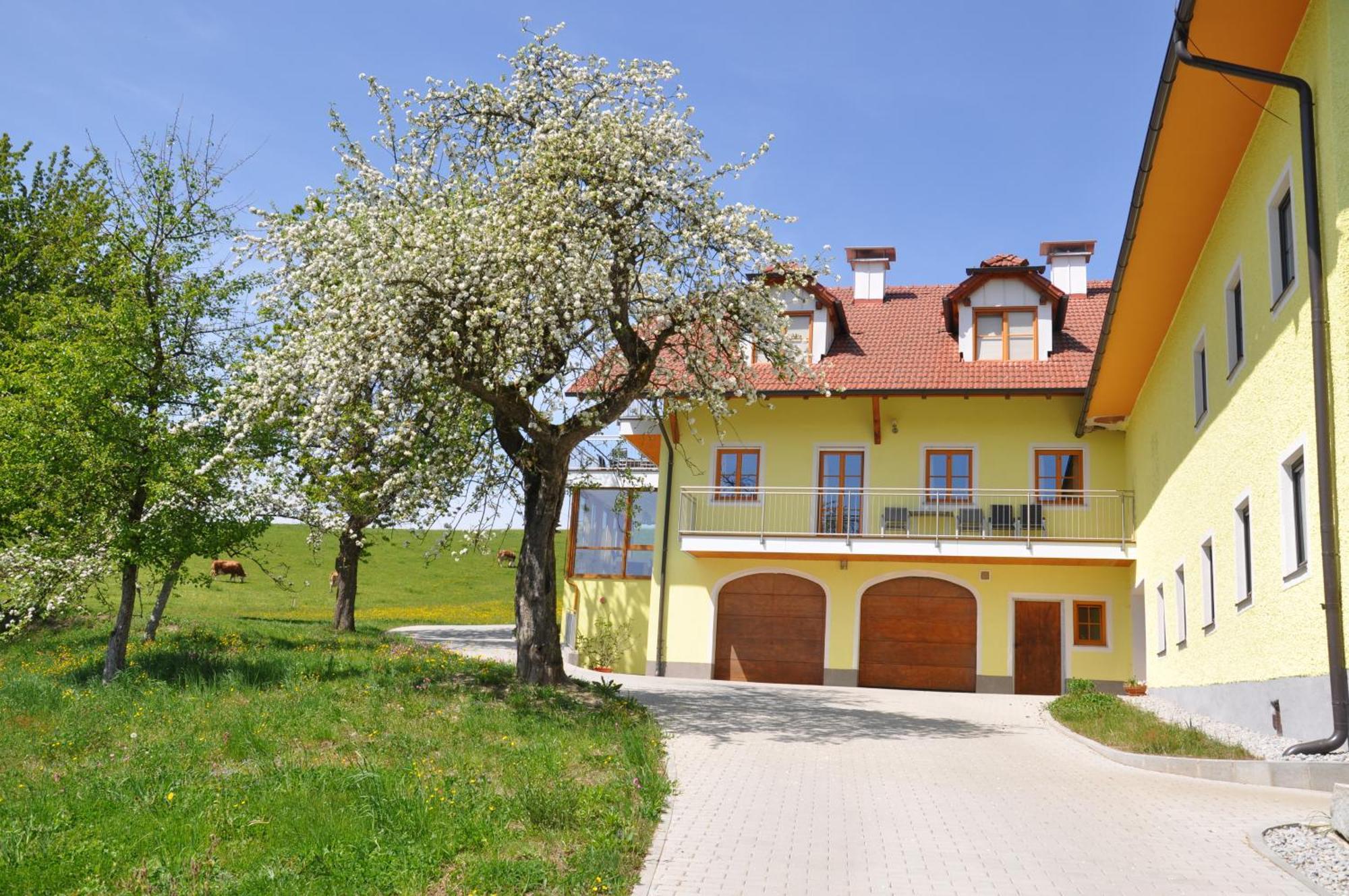 Ferienwohnung Mayrhofer Hofkirchen im Muehlkreis Ngoại thất bức ảnh